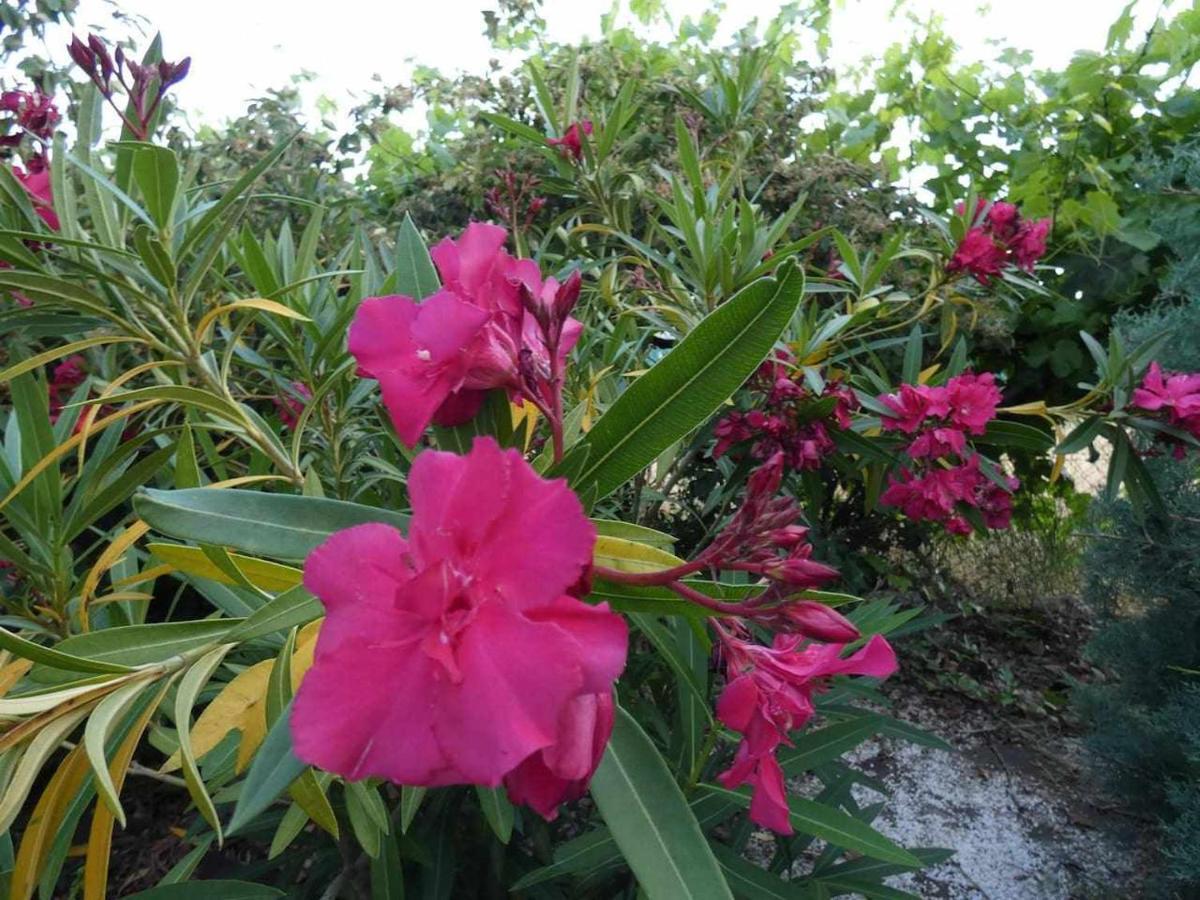 Antigua Vaqueria De Quijorna Villa Dış mekan fotoğraf